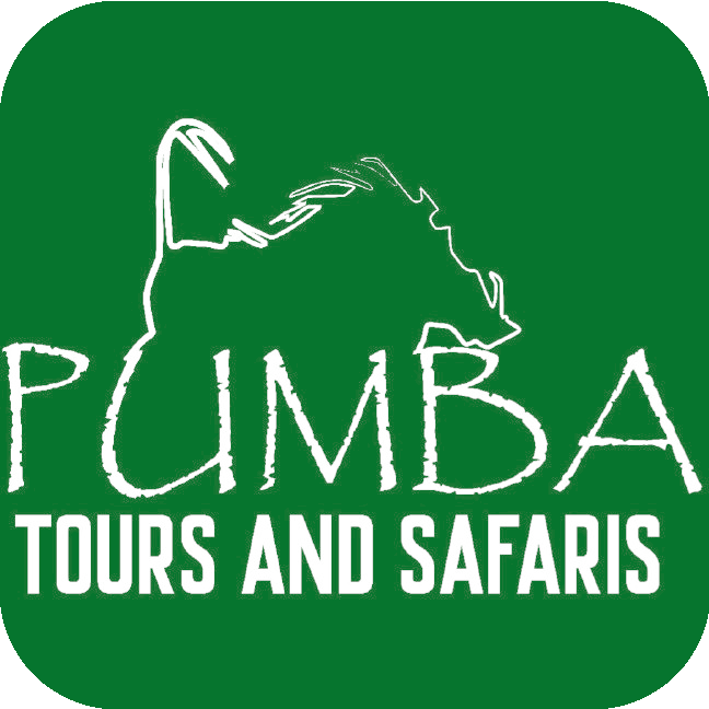 Pumba Tours And Safaris